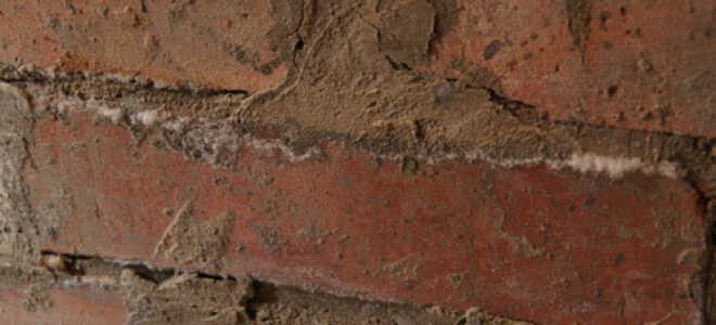 Причины появления и способы борьбы с грибком на кирпичных стенах